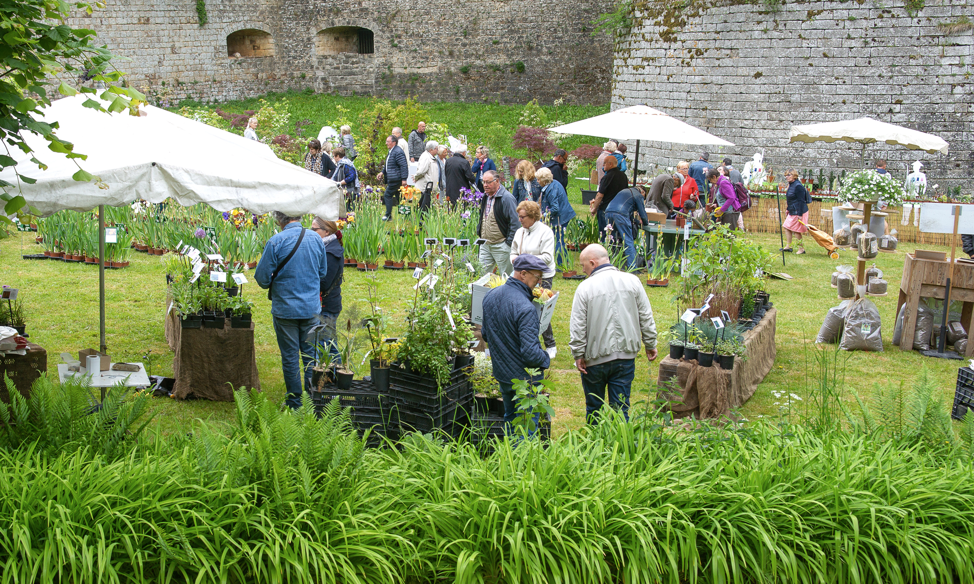 Fête des plantes Doullens